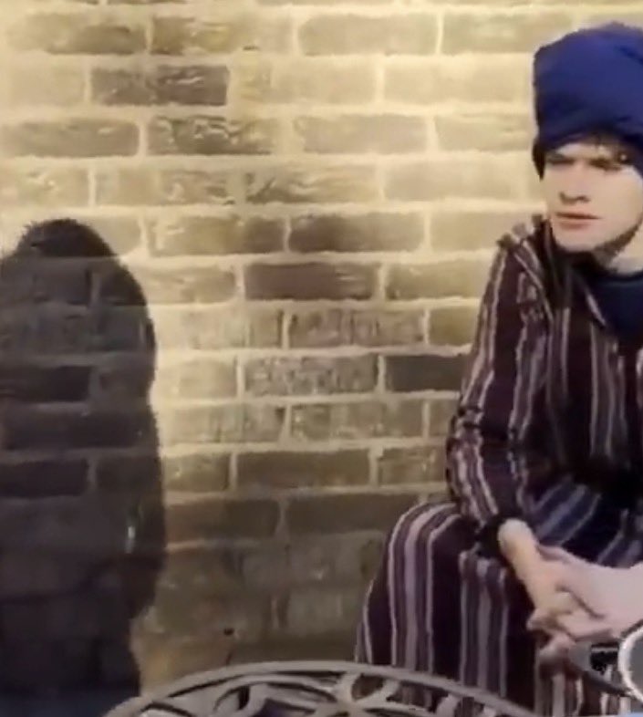 Harry Patterson tweet media