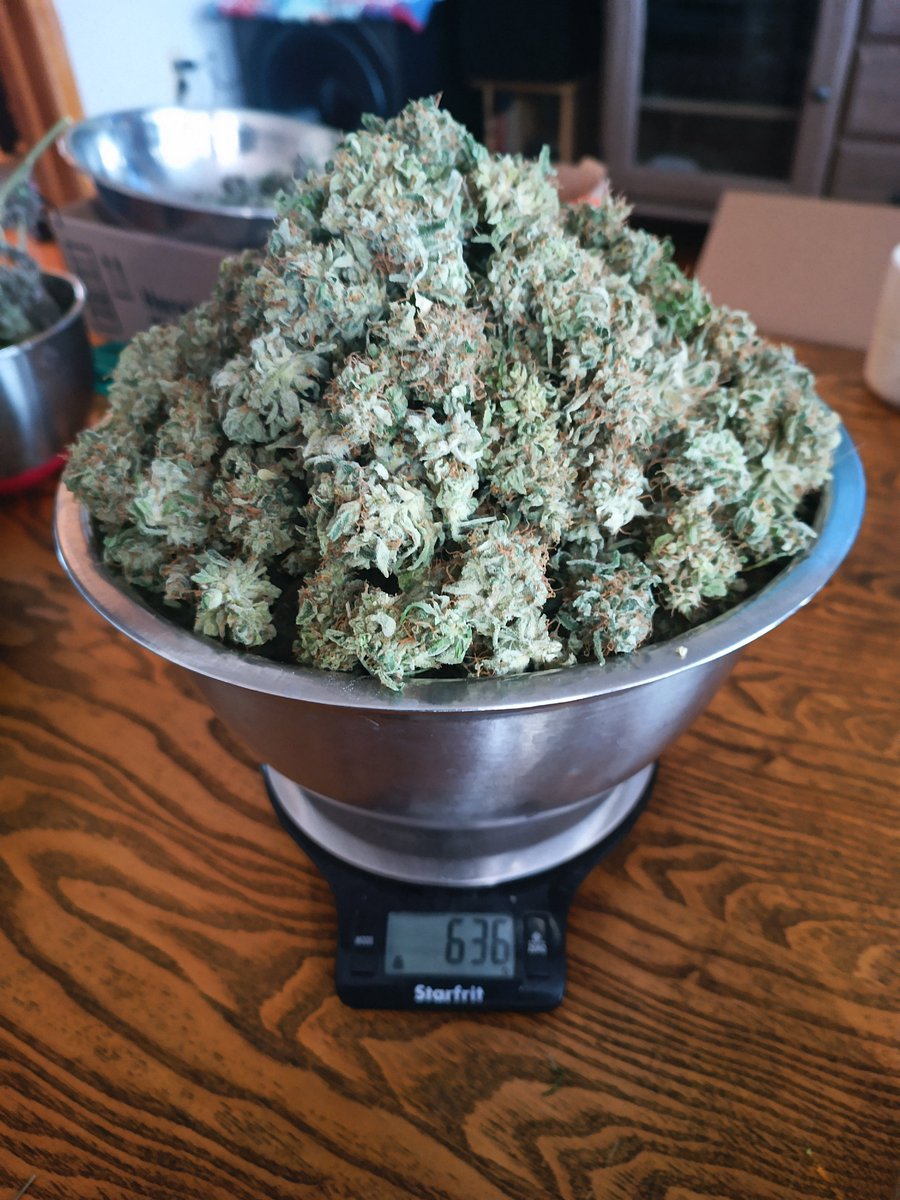 Mr B. 🇨🇦🌱🌿4:20 tweet media