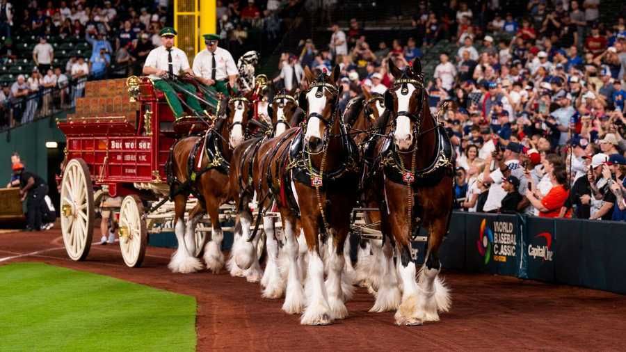 All Things The Ville tweet media