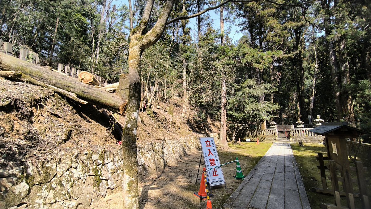 こうち(Kouchi) tweet media