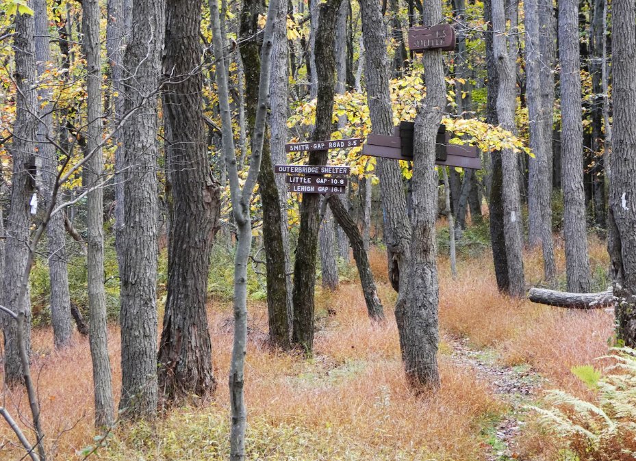 LV Planning Commish tweet media