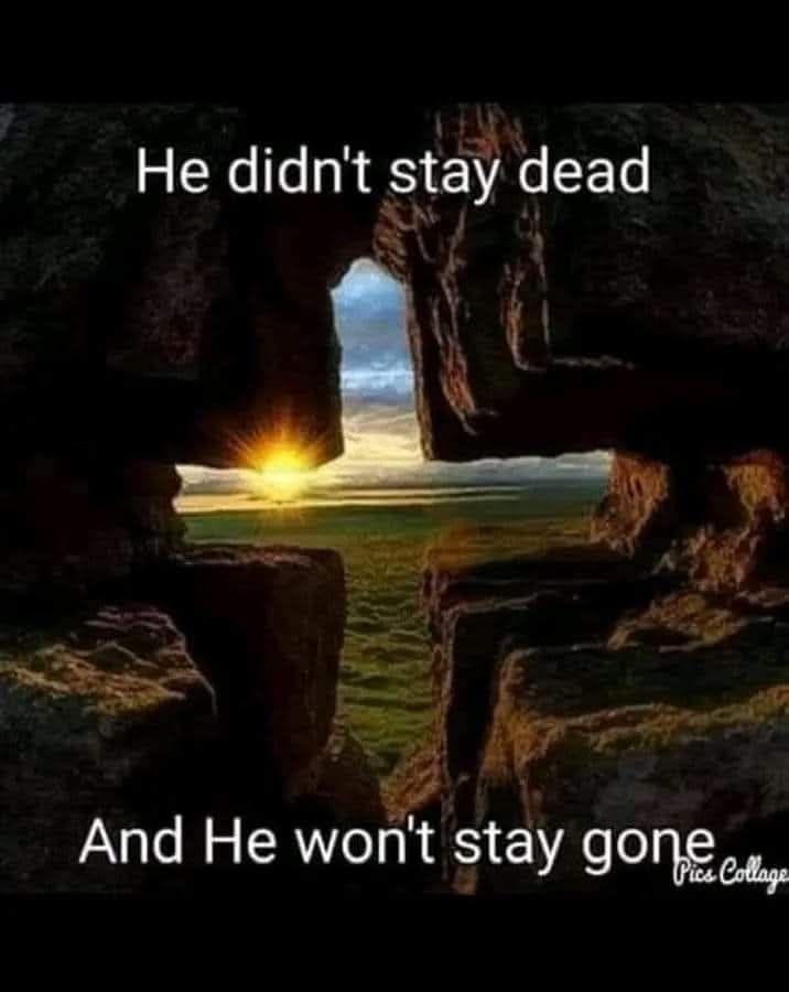 Kristy Williams tweet media