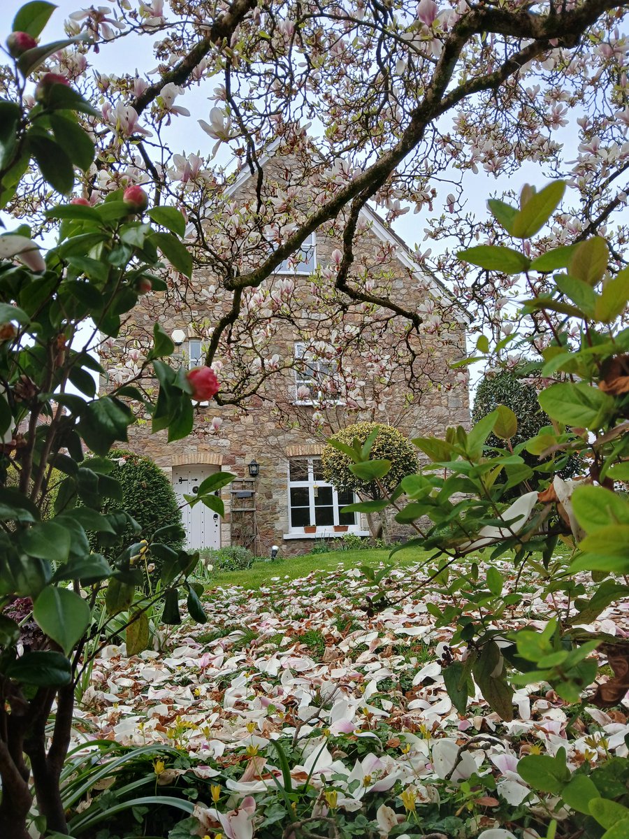 Tim Hartley tweet media