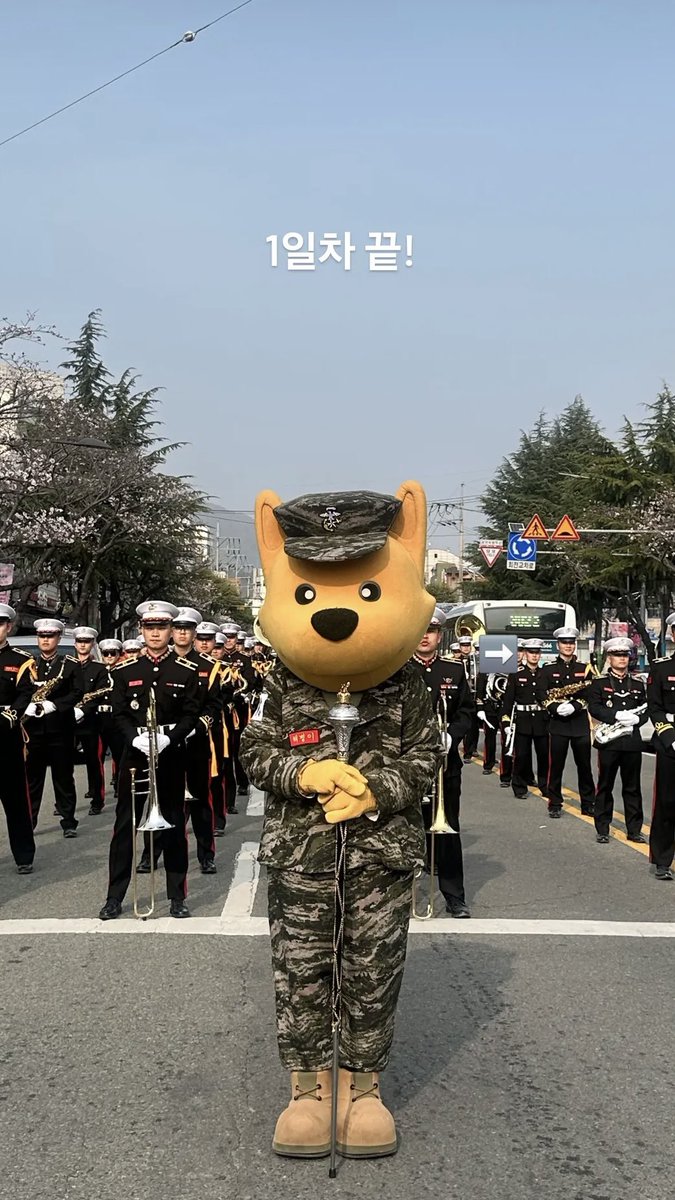 푸 tweet media