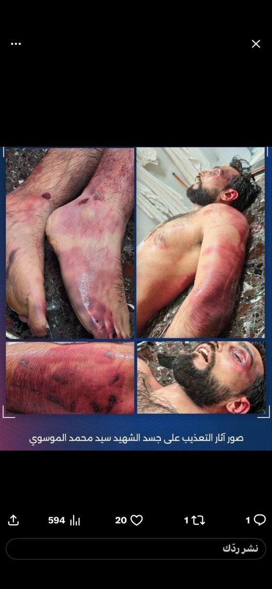 Reem Al-Hashemi tweet media