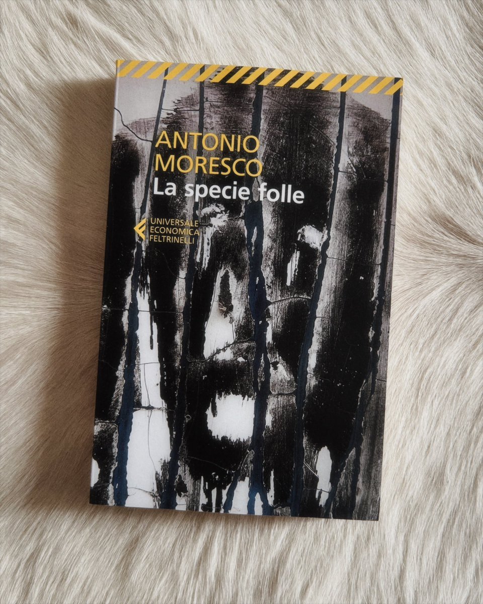 𝕒𝕟𝕒 🍒 tweet media