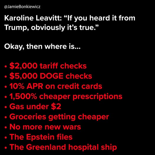 SnarkyLiberal tweet media