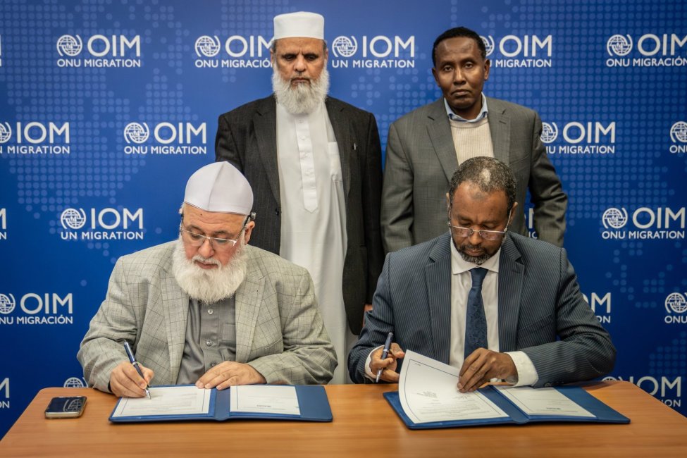 IOM - UN Migration 🇺🇳 tweet media