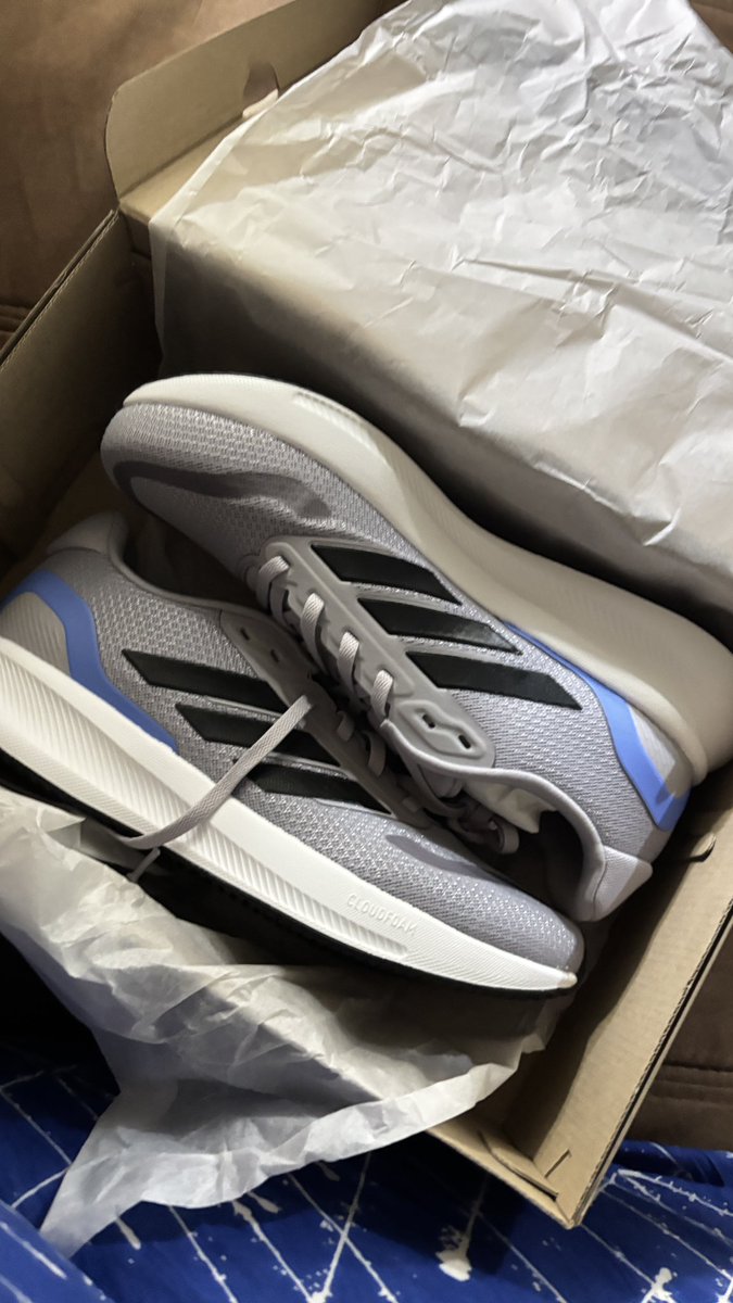 .✦ ݁˖ tweet media