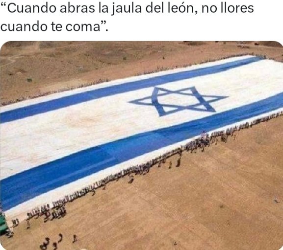 El BANANO tweet media