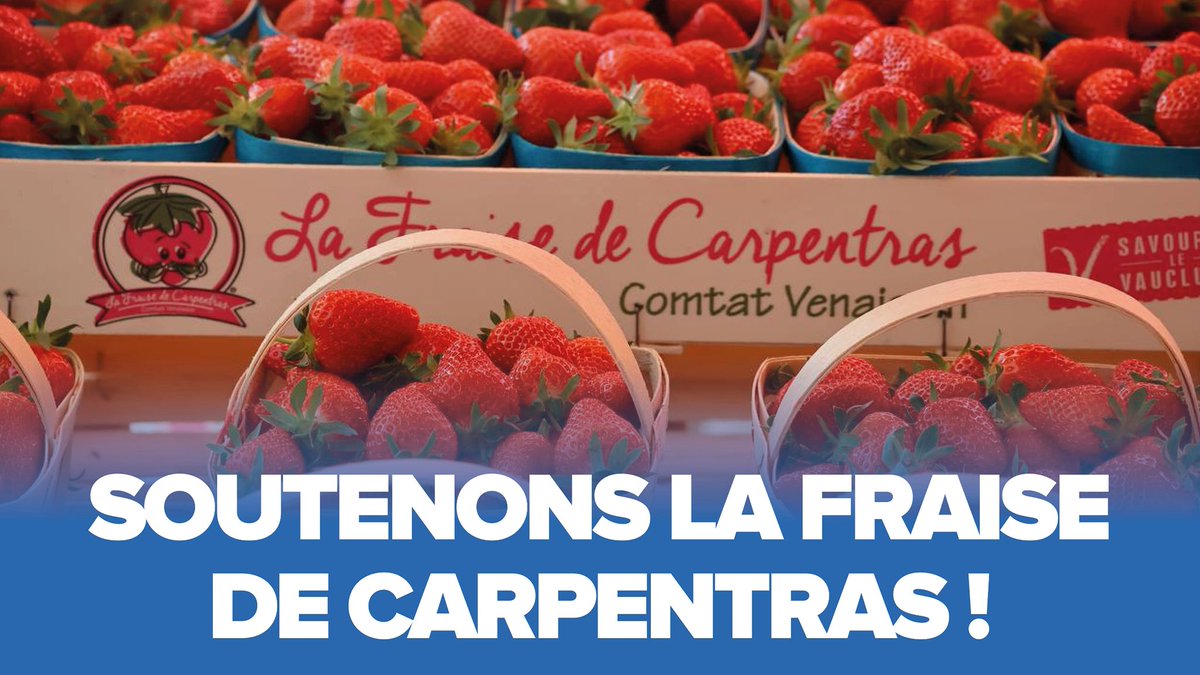 Catherine Rimbert tweet media