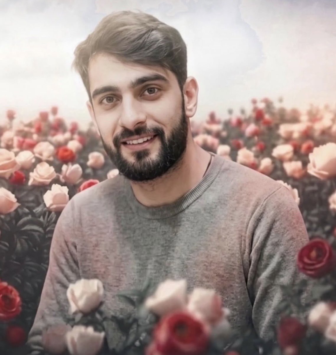 нαssαи tweet media