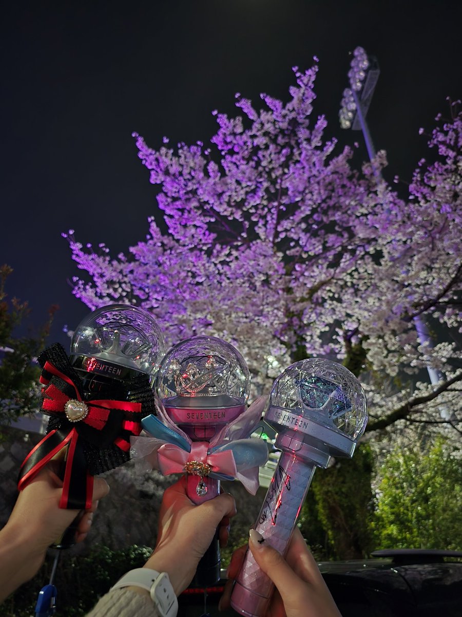 윤쫑쫑🐶 tweet media