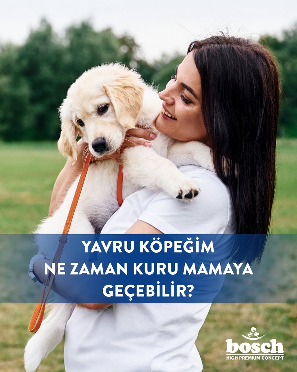 BoschDogFoodTr's tweet photo. Yavru köpekler genellikle 4–6 haftada yumuşatılmış kuru mama ile tanışır, 6–8 haftada tamamen geçiş yapabilir 🐶🐾

Her ırkın ihtiyacı farklıdır, özellikle küçük ırklar için tane boyutu önemli!

✔️ Doğru mama seçimi, sağlıklı büyümenin temelidir. https://t.co/FqdGoaarp7