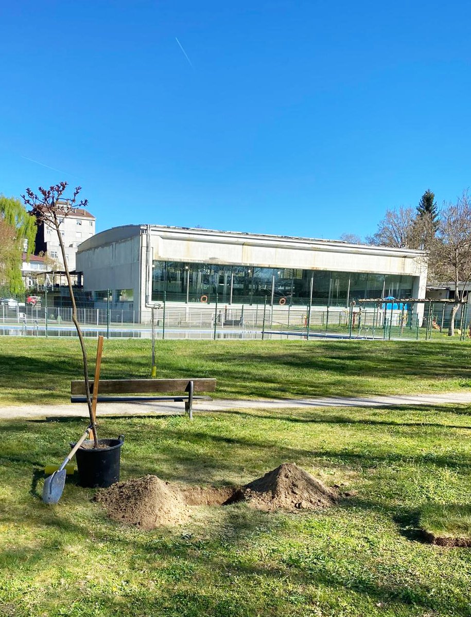 Chantada Concello tweet media