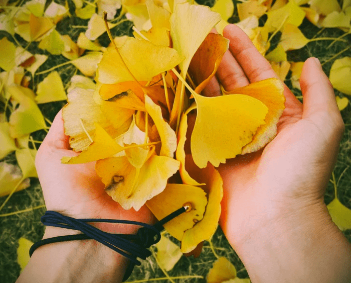 ♥ Eva ♥ tweet media