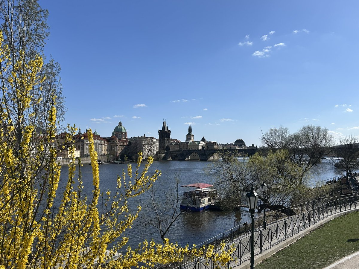 Chris Shepherd tweet media