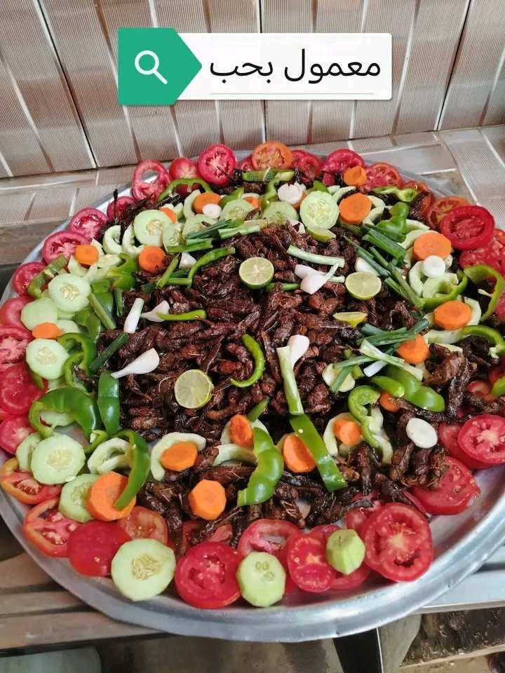 الحارث ‏‎خالد tweet media