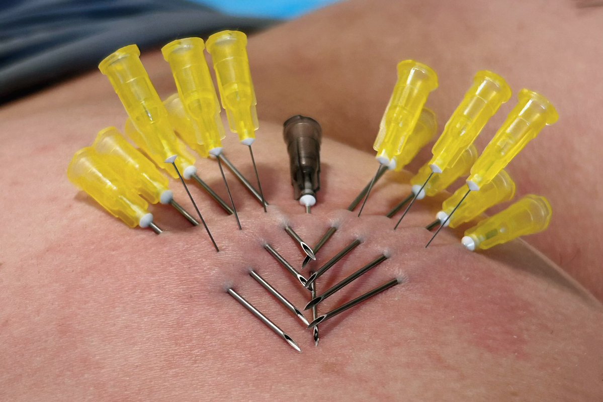 初醒·Lois tweet media