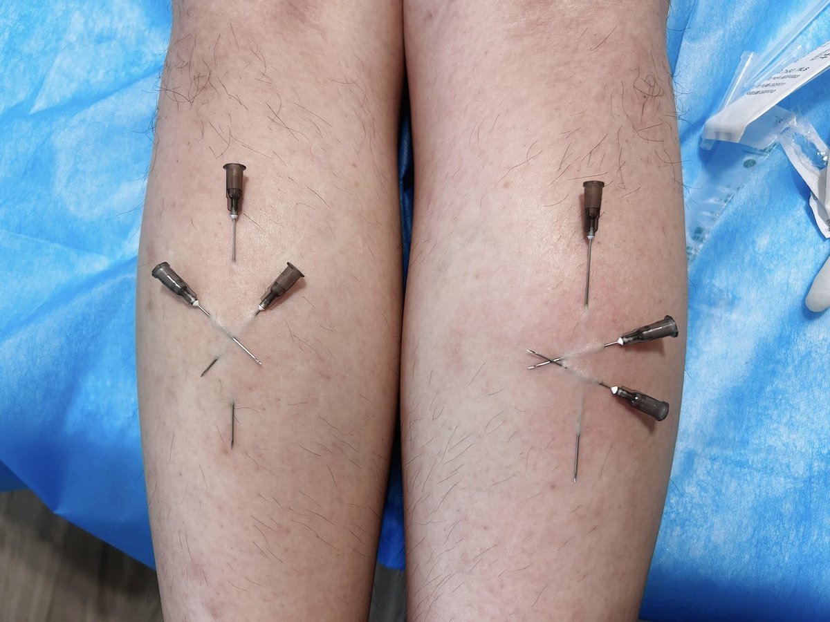 初醒·Lois tweet media