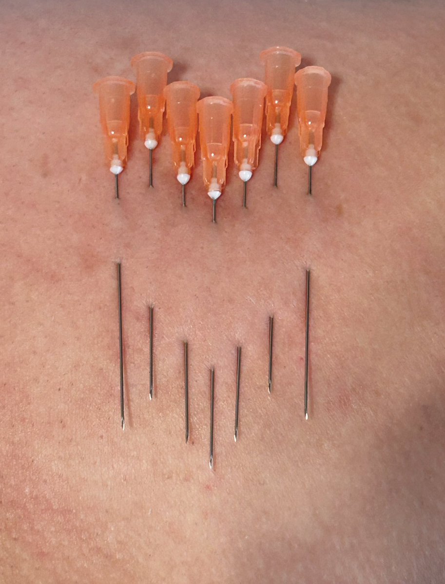 初醒·Lois tweet media