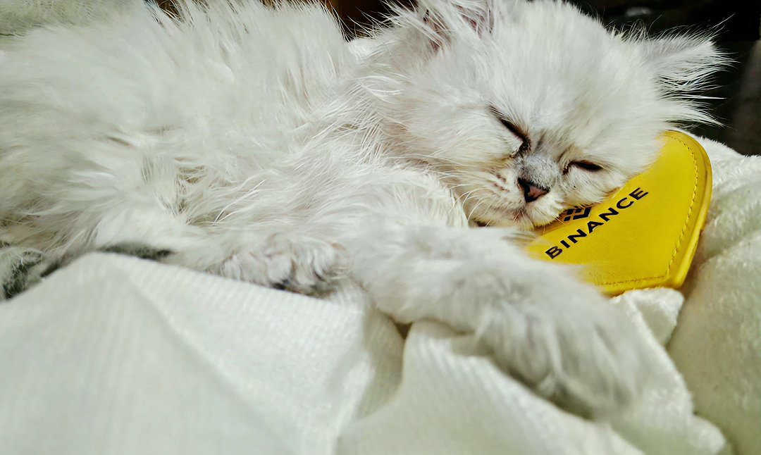 Binance Ukraine tweet media