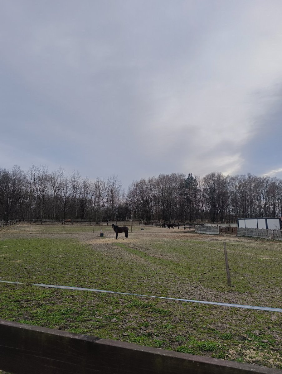 GGanszczyk's tweet photo. Na wsi ruszyły pierwsze pracę polowe. 🚜🌾
To też są Katowice! 💚 #FieldWorks #March #Spring #Zarzecze #Katowice #Śląsk https://t.co/82QRmhJcwK