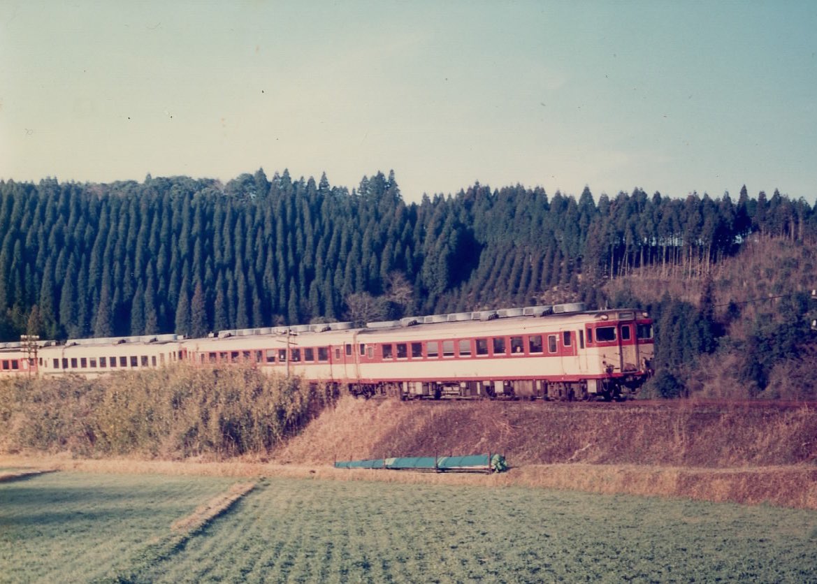 うしねこ tweet media