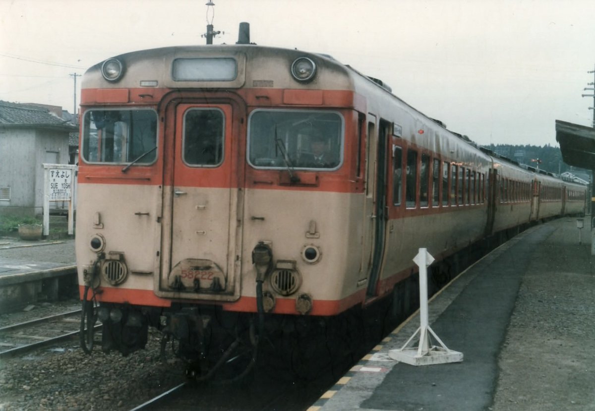 うしねこ tweet media