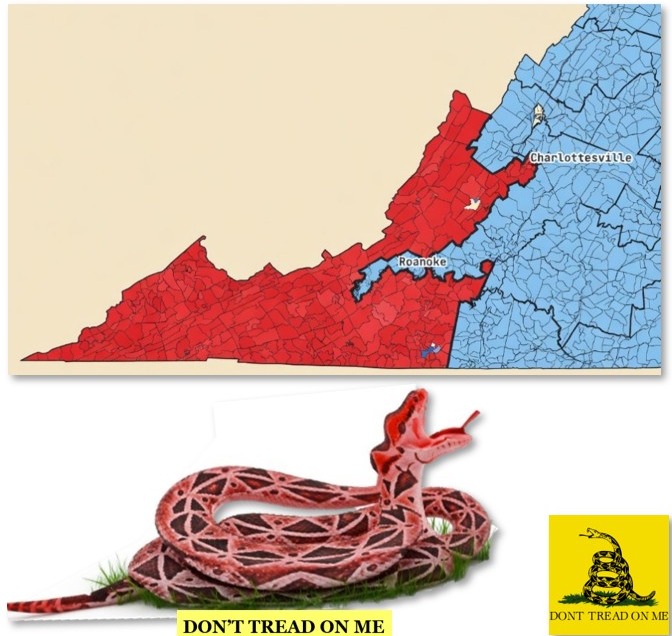 Virginia News Vanguard tweet media