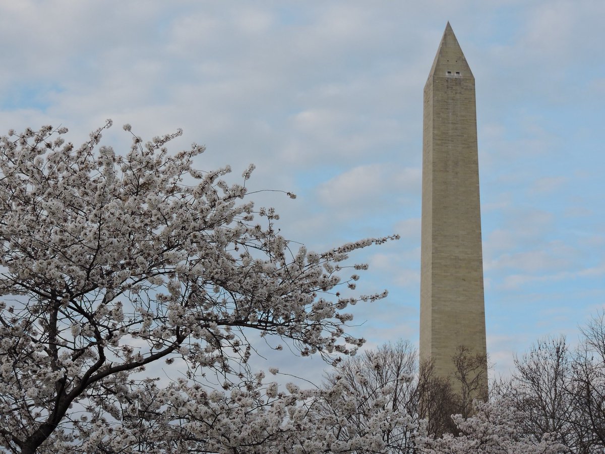 Sabrina Shutters Parsons tweet media