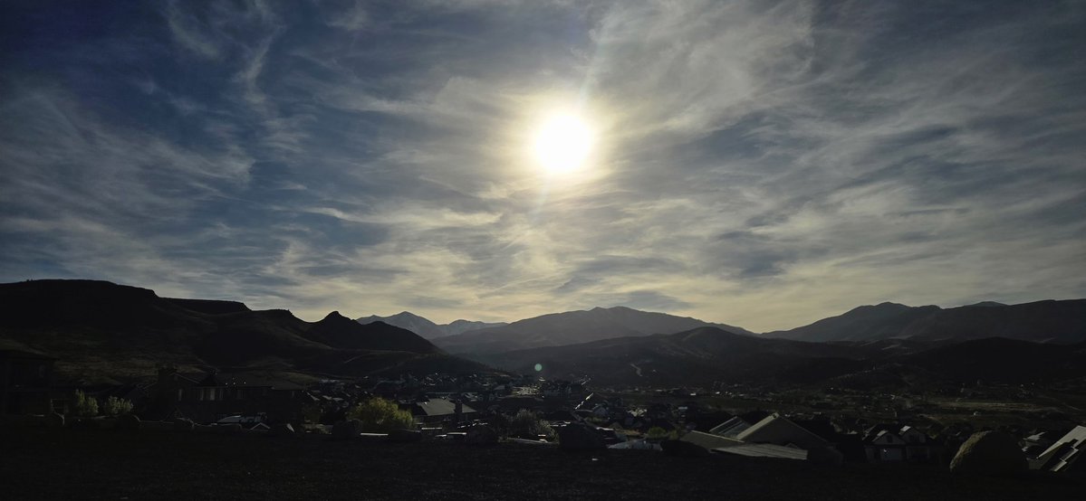 just michele 🧡🦊 tweet media