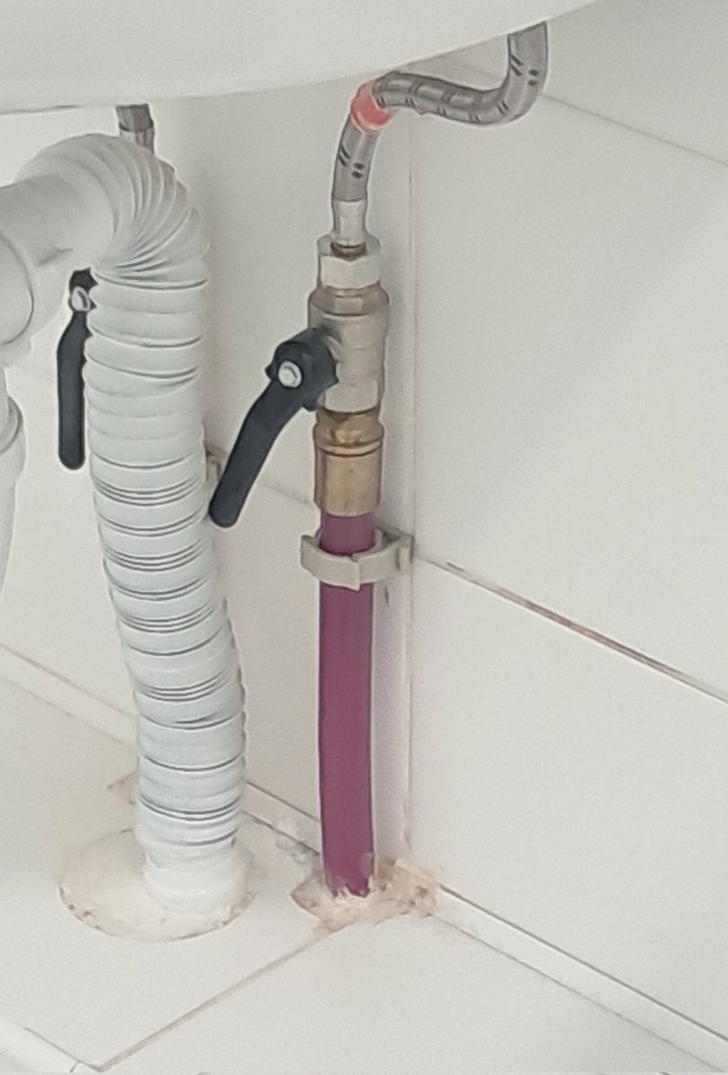 Quenderine 🧼🛒 tweet media