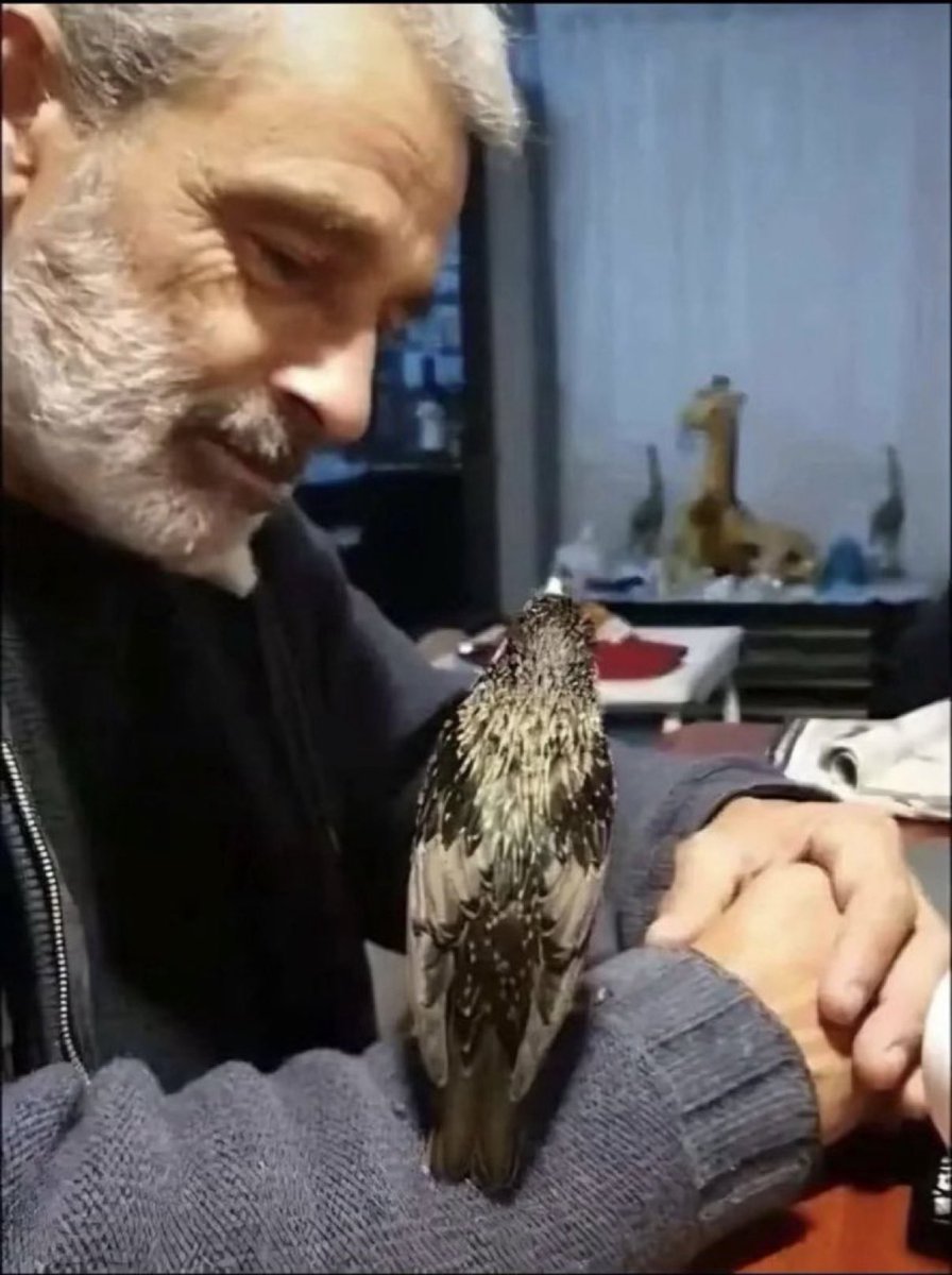 PASCAL NAJADI ( USSF ) tweet media