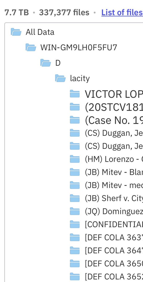 Dominic Alvieri tweet media