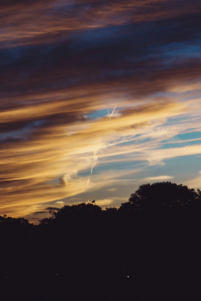 🕊 𓂃𓈒 𓂂𓏸 tweet media