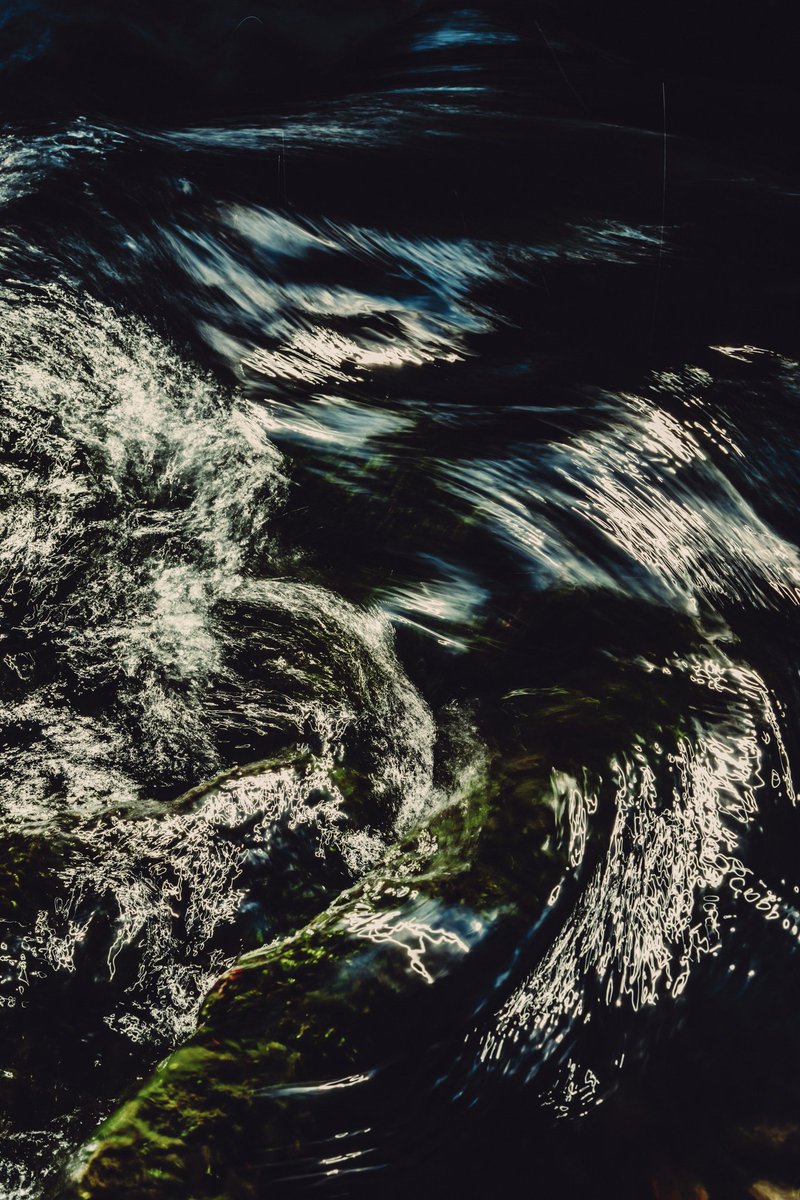 🕊 𓂃𓈒 𓂂𓏸 tweet media