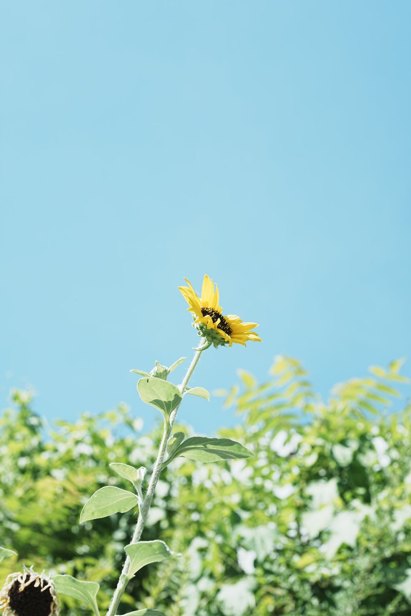 🕊 𓂃𓈒 𓂂𓏸 tweet media