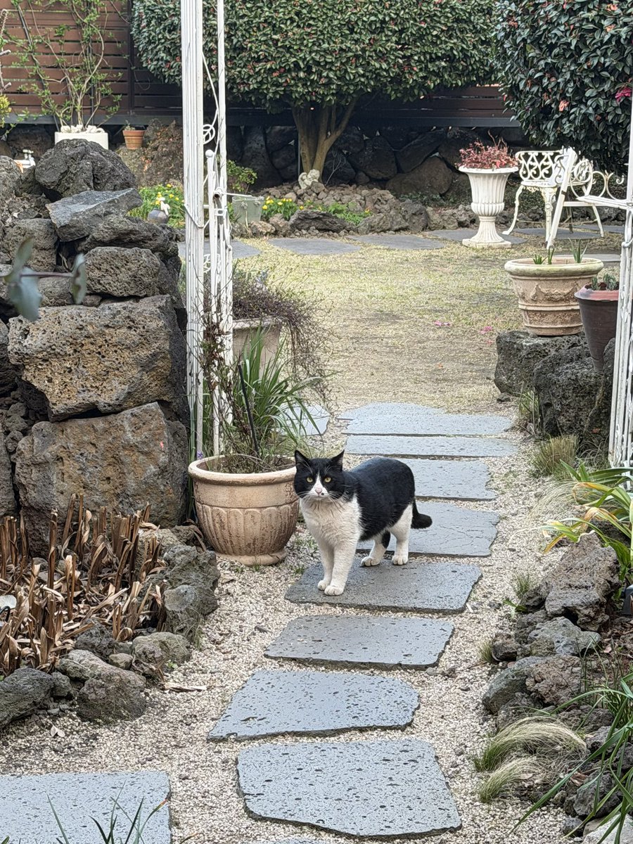 지구별 음식 섭취 중 tweet media