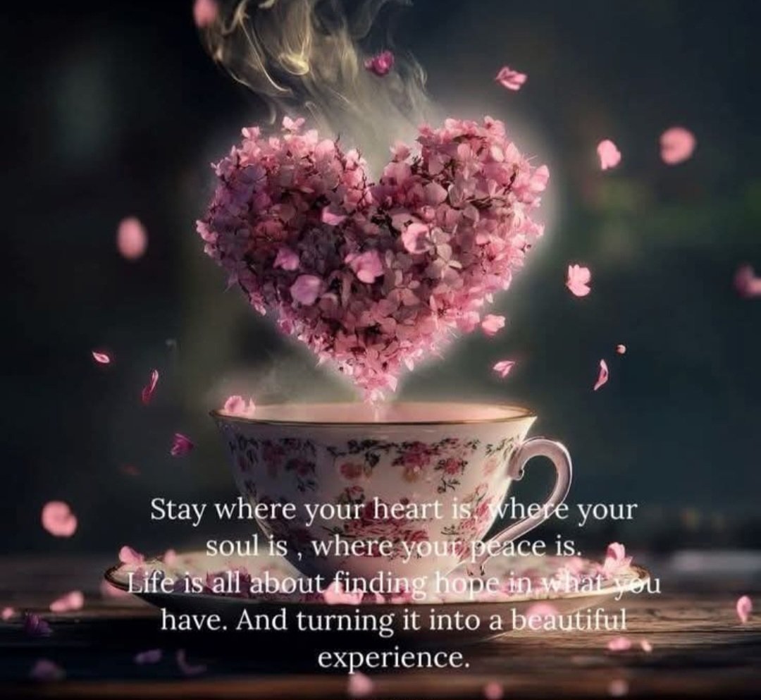 Sensitive Soul 17 (Sandra) tweet media