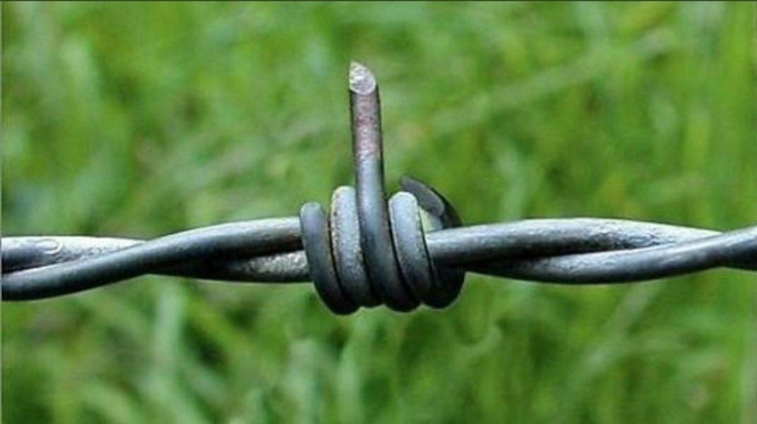 Final Point tweet media