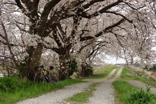 あらごん tweet media