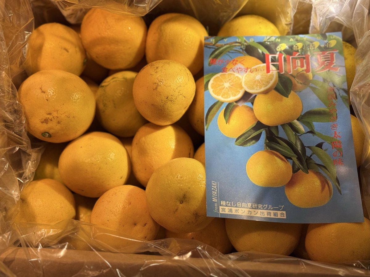 岡山バー BAR Sheep Jester tweet media