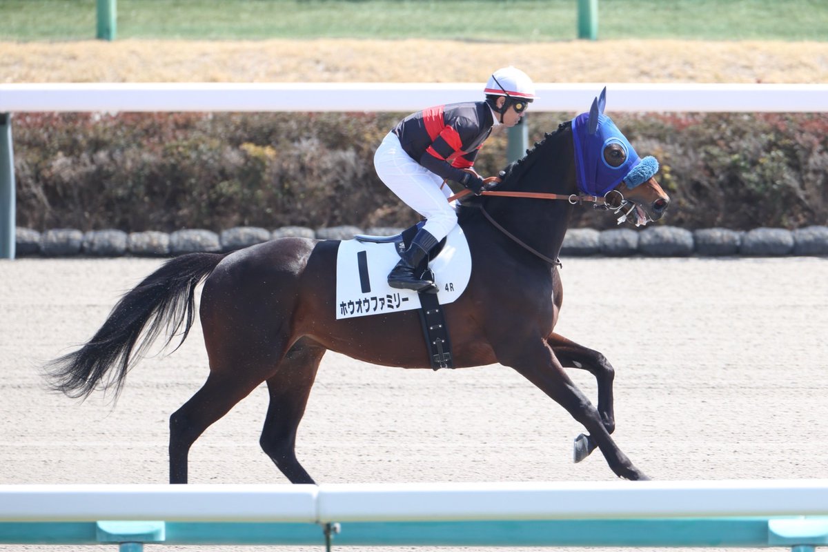 田中博康厩舎【公式】 tweet media