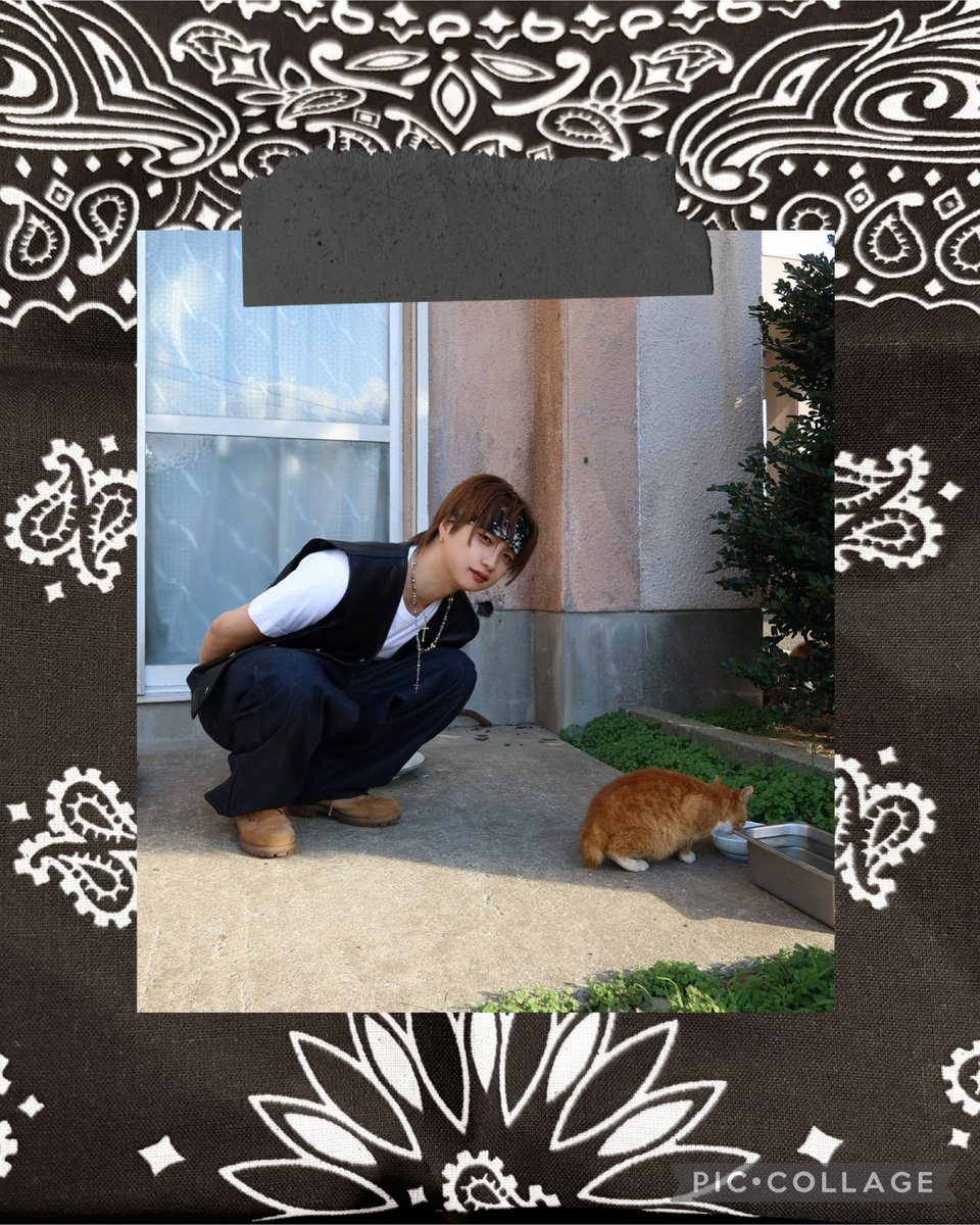 𝗺𝗮𝘆 🐢 . ݁₊᪥⋆. ݁べすぴꕀ tweet media