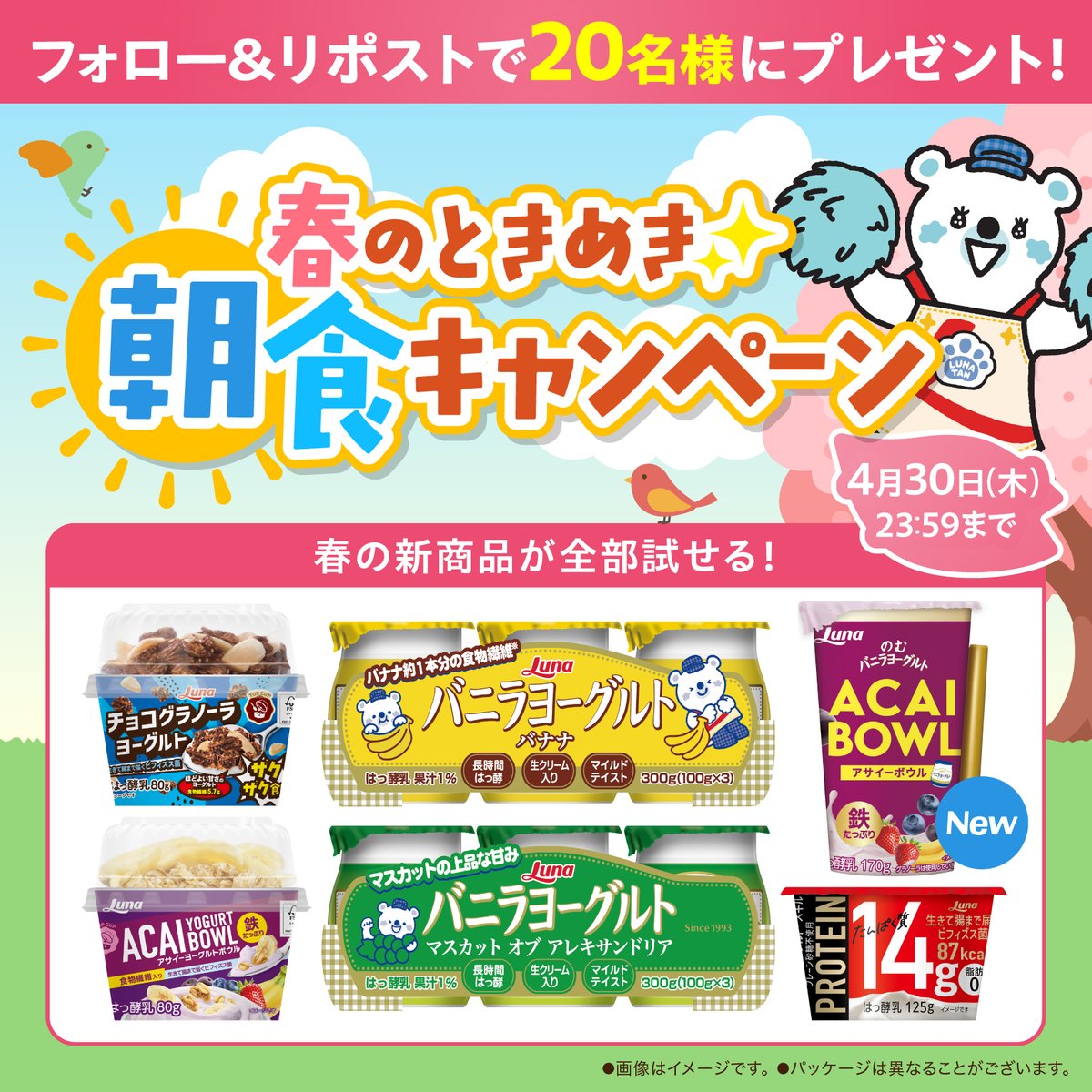 るなたん　日本ルナ【公式】 tweet media