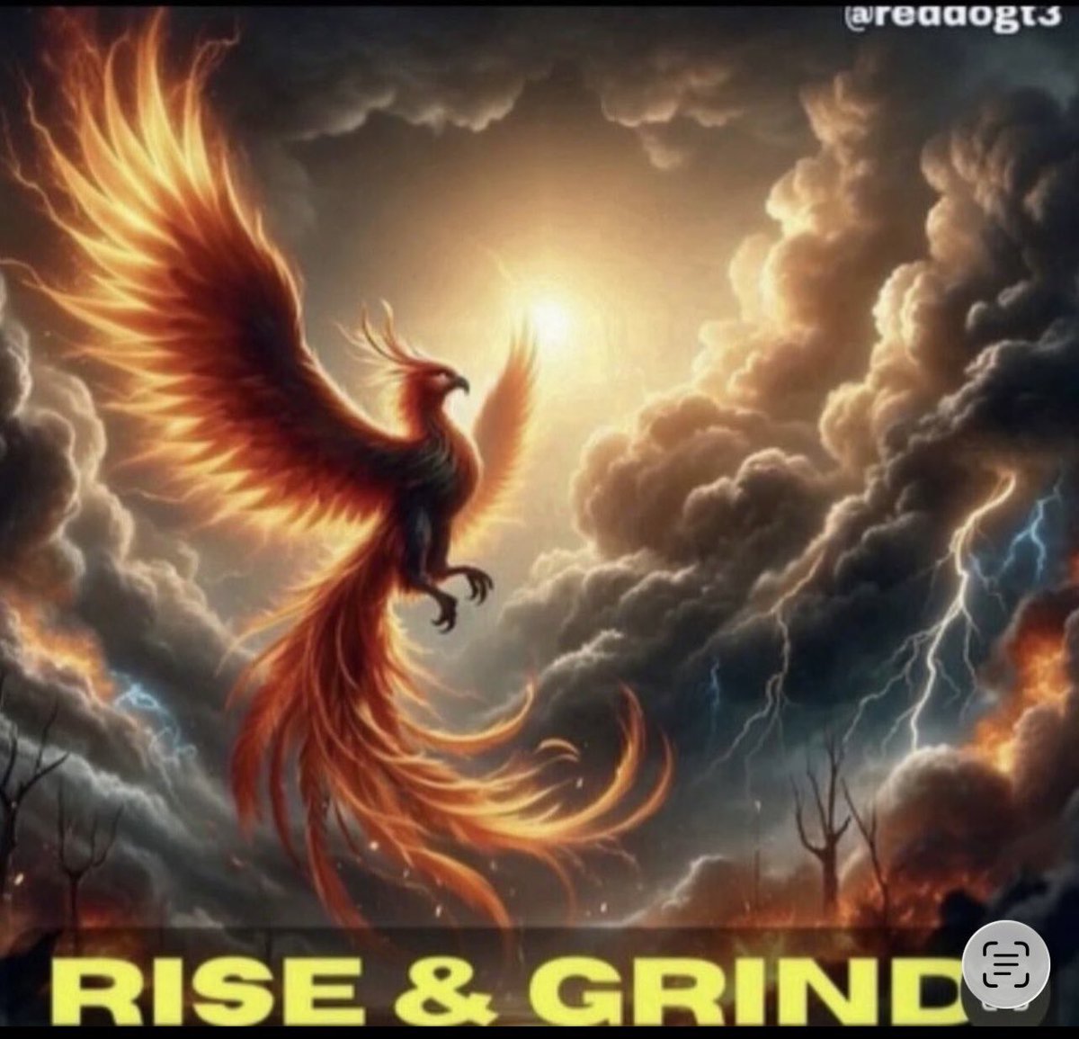 Scott Redler tweet media