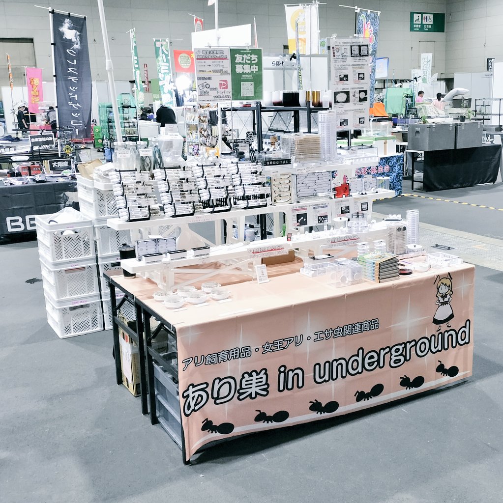 あり巣 in underground｜失敗しにくいアリの巣を販売中 tweet media