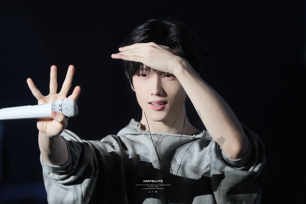 Hamtellite tweet media