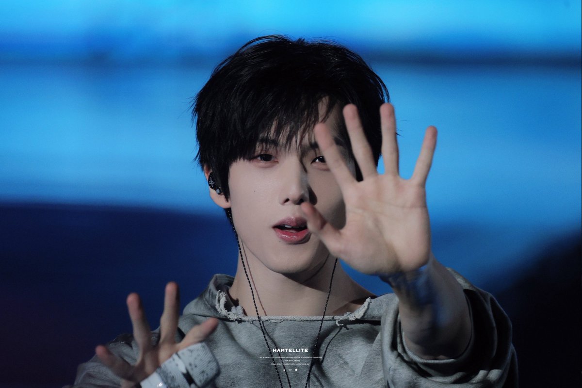 Hamtellite tweet media